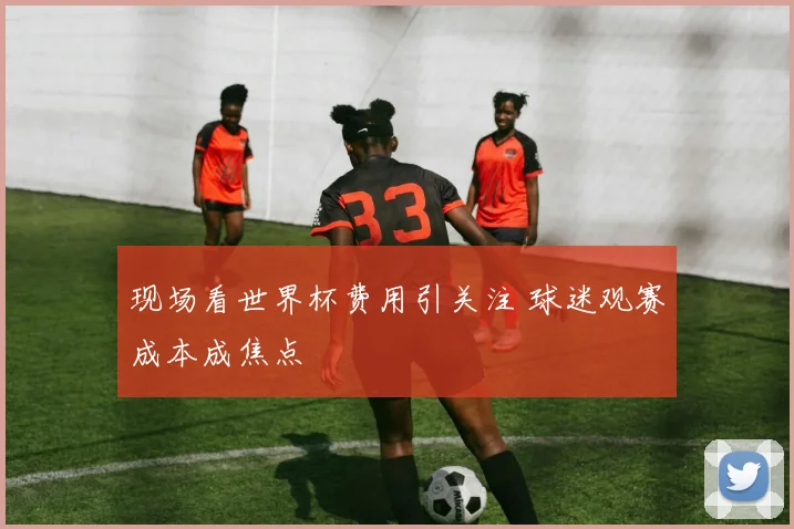 现场看世界杯费用引关注 球迷观赛成本成焦点