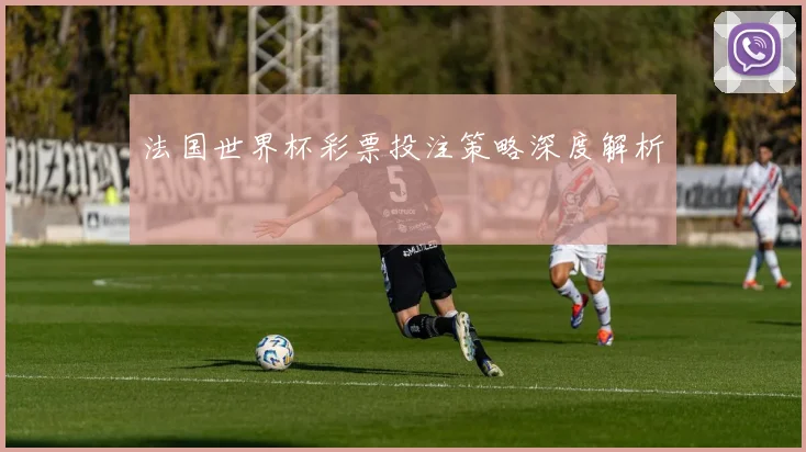 法国世界杯彩票投注策略深度解析