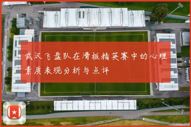 武汉飞盘队在滑板精英赛中的心理素质表现分析与点评