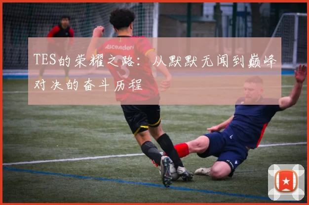 TES的荣耀之路：从默默无闻到巅峰对决的奋斗历程