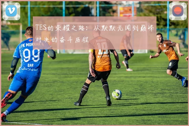 TES的荣耀之路：从默默无闻到巅峰对决的奋斗历程