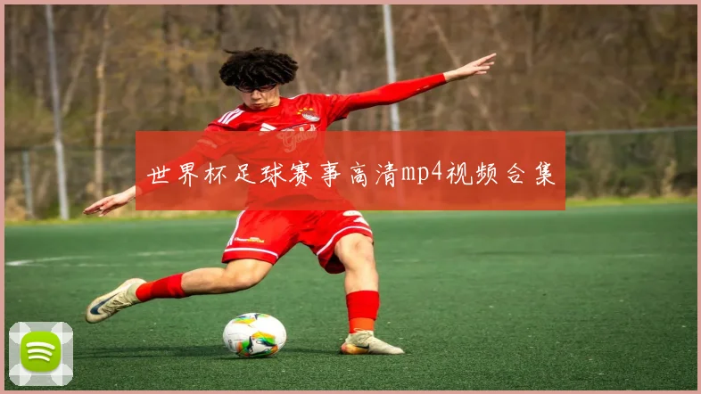 世界杯足球赛事高清mp4视频合集