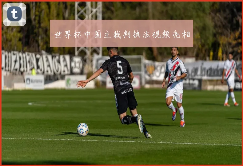 世界杯中国主裁判执法视频亮相