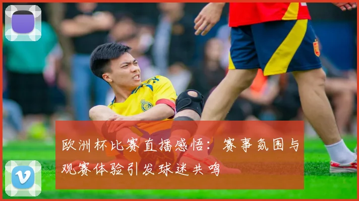 欧洲杯比赛直播感悟:赛事氛围与观赛体验引发球迷共鸣
