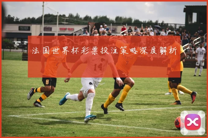 法国世界杯彩票投注策略深度解析