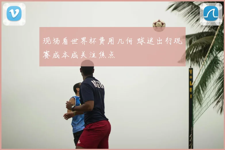 现场看世界杯费用几何 球迷出行观赛成本成关注焦点