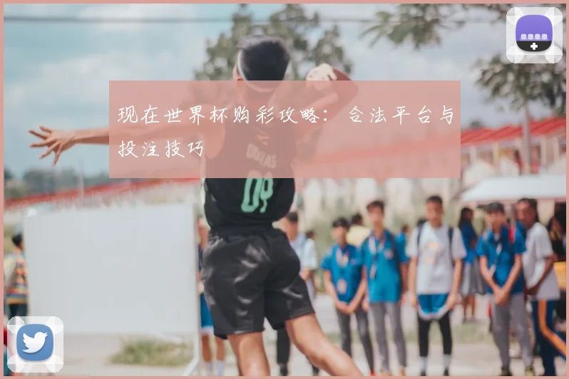 现在世界杯购彩攻略：合法平台与投注技巧