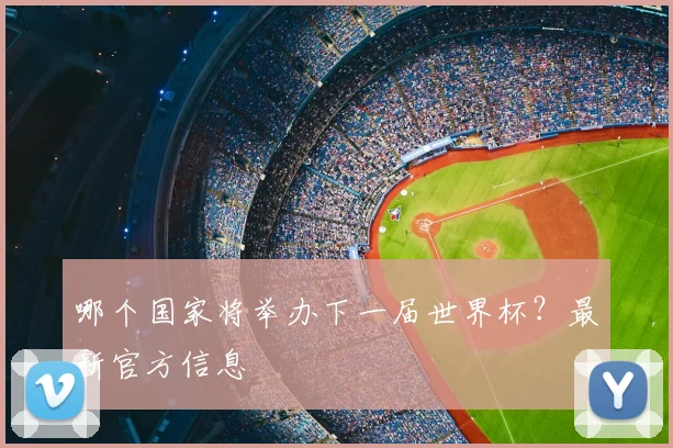 哪个国家将举办下一届世界杯?最新官方信息