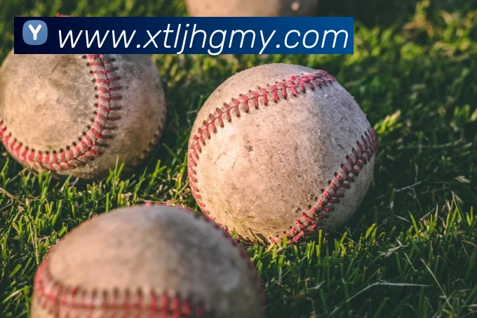 华体app官网发展历程